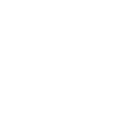 Play Icon